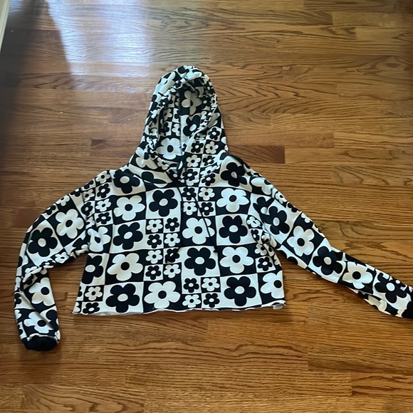 Never Worn Wild Fable Hoodie